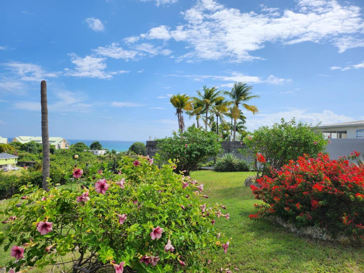 Villa 6-10 Pers, Vue Mer, Piscine Privee, Plage A Pieds Le Gosier  Kültér fotó